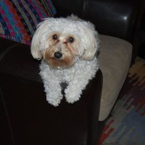 Meet your Posher, Kay